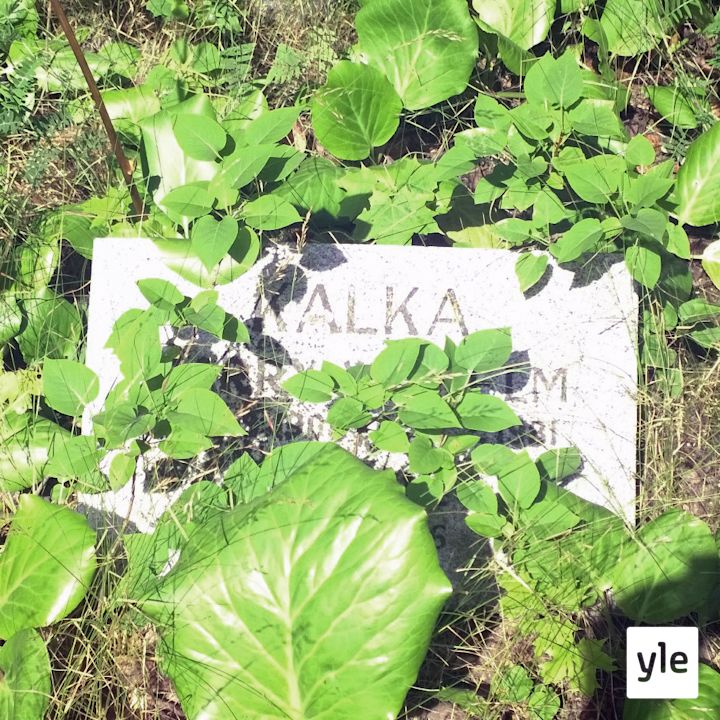 Maggie Kalka - melan ja miekan mestari Maggie Kalka - melan ja miekan mestari