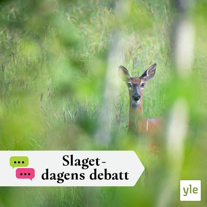 Är hjortstammen fortfarande för stor?