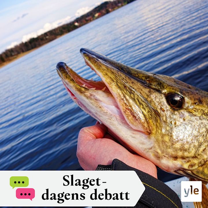 Borde det bli dyrare att fritidsfiska?