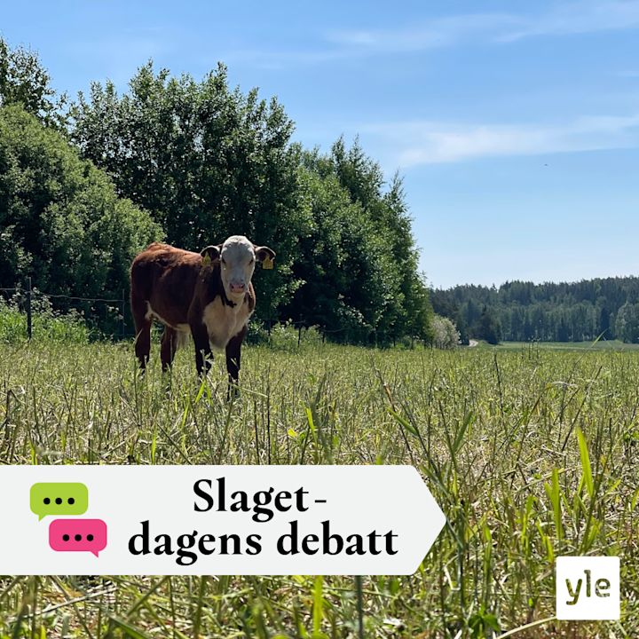 Släcks lampan i glesbygden?