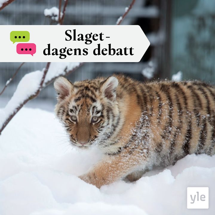 Är det försvarbart att hålla djur i djurparker?