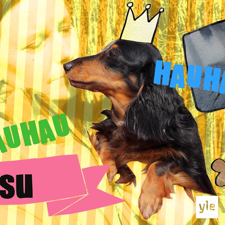 Pernajan matriarkka Tessu
