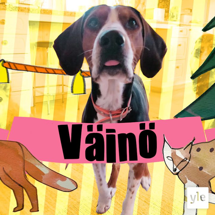 Kettukoira Väinö