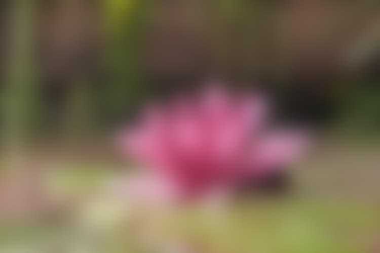 rento teini seksiä PornHub