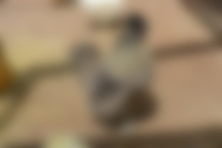 seksikäs anime porno videoita