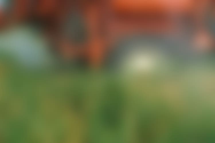 teini-ikäinen porno tähdet