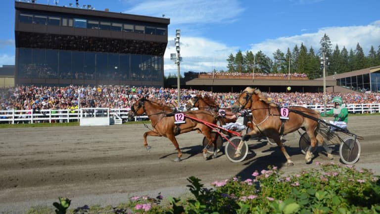kuninkuusravien