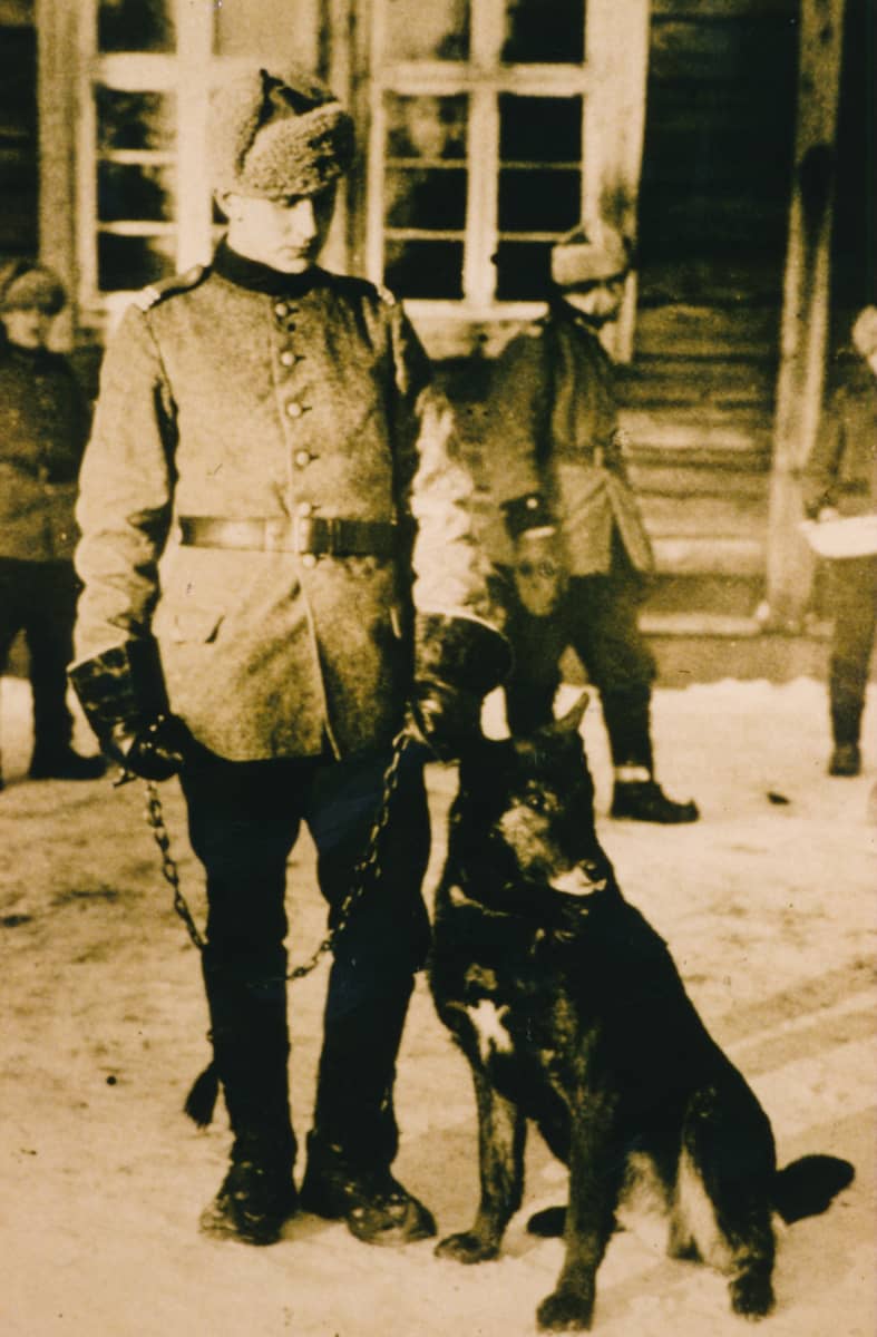 Rajakoira Caesarin viimeiset hetket Sallassa vuonna 1929. Vieressä seisoo koiran viimeinen koiranohjaaja rajakersantti Konrad Rantala.