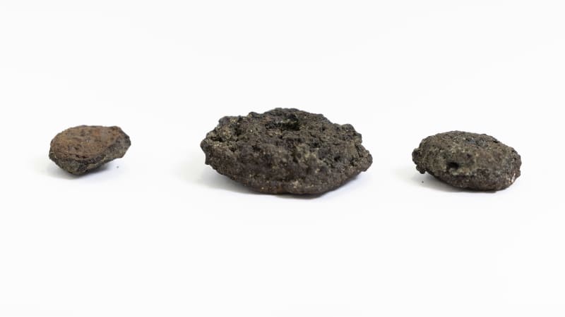 Three nodules on a white background.