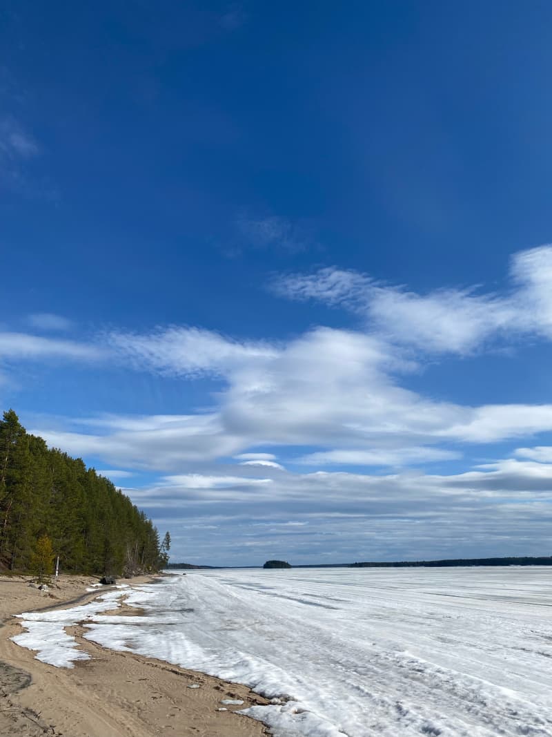 A moment before the snow melts in Sotkamo's Hiuka.