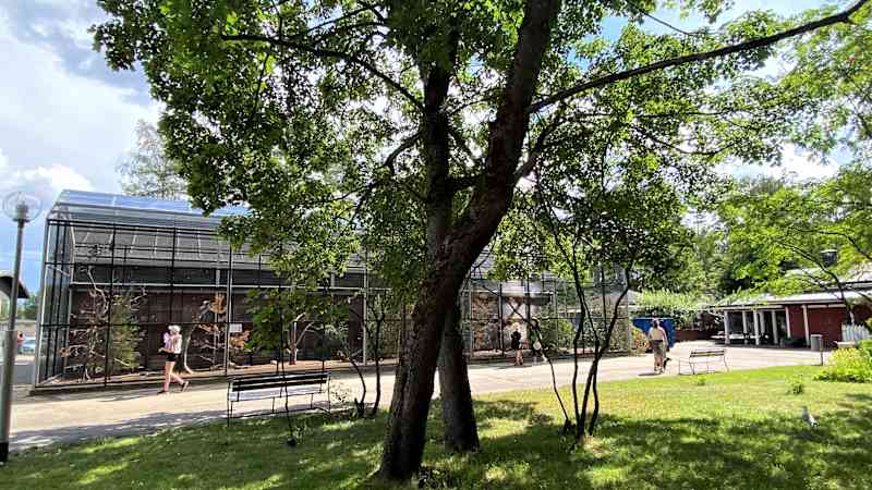 People look at the bird cages of Heinola Bird Care and the birds there.