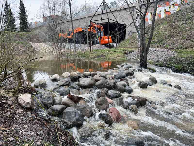У Mätäjoki були знищені нерестові майданчики для зникаючої морської форелі.