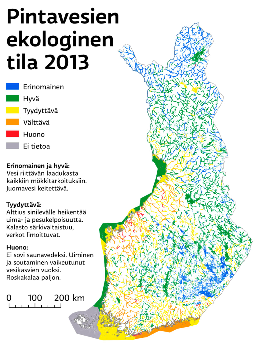 Tarkista tästä mökkivesistösi puhtaus – vesien kuntokartta kattaa koko  Suomen | Yle Uutiset