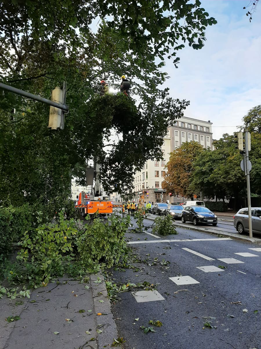Kuvassa raivataan myrskyn riepottelemaa puustoa Helsingin Töölössä.