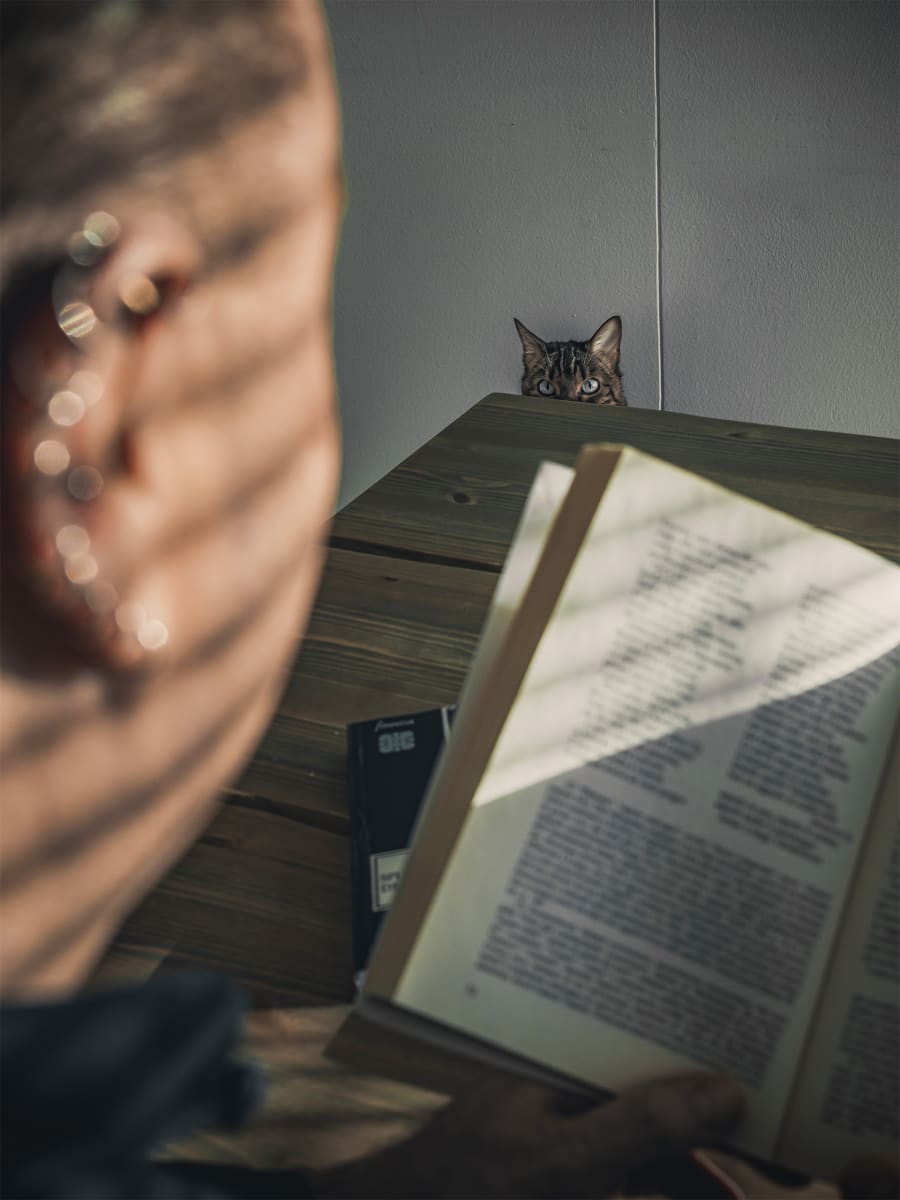 Kissa nimeltään Edith Veikkolainen katsoo kun Marcello Ganassini lukee kirjaa.