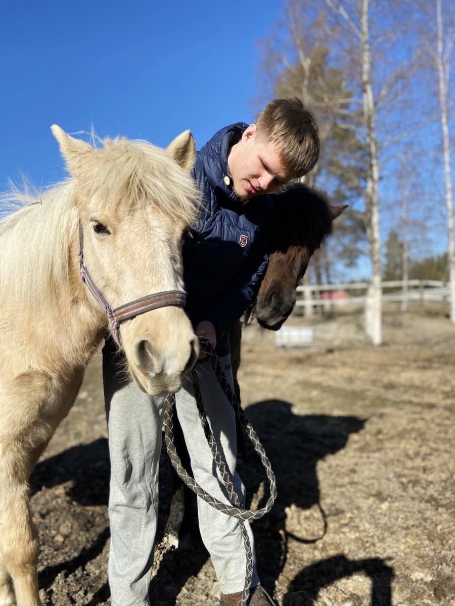 Mikko Aine ja hevonen