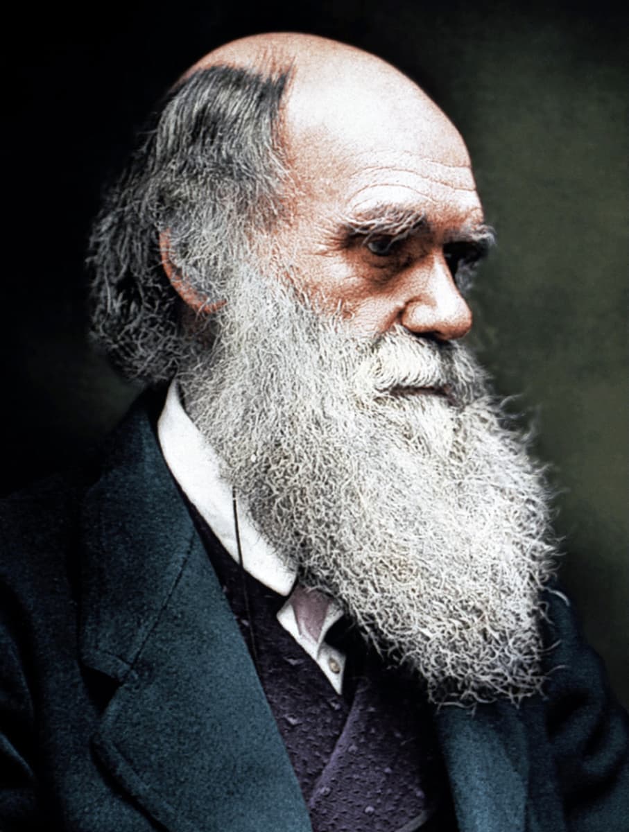 Luonnontieteilijä Charles Darwin (1809-1882)