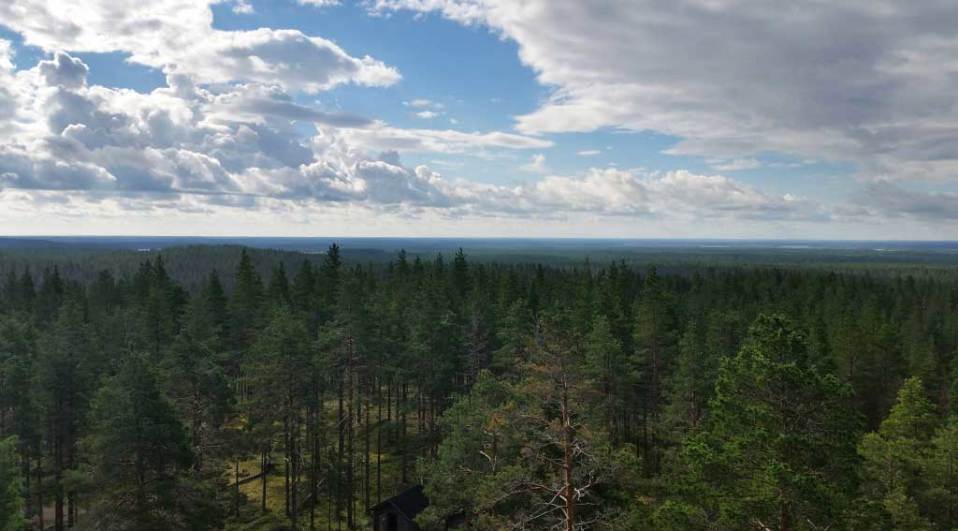 Rokuan korkein kohta Pookivaara kohoaa voin 195 metriä merenpinnan yläpuolelle. Maan kohoamisen ansiosta pieni nykyisen Itämeren edeltäjän, Ancylysjärven saari on nykyisin mäntypuiden ja jäkälän peittämien hiekkadyynien muodostama vaaramaisema.