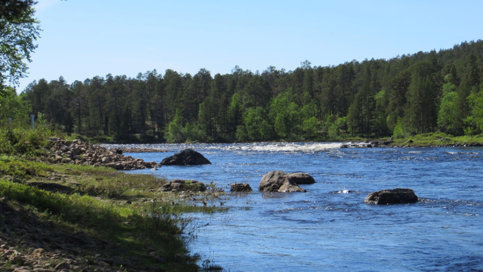 Inarinjärveen laskeva Juutuanjoki kuvattuna kesällä 2013. 