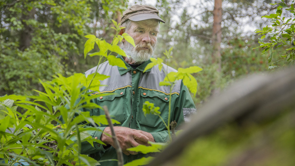 Ensin Karpolla oli asiaa, sitten hovioikeudella – uhkasakot eivät tehoa Klaus Nygårdin romupihaan