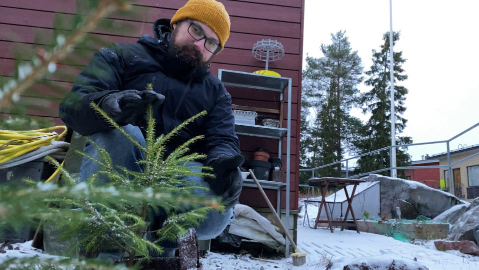 Vuokrapuu.fi-yrityksen perustaja Torbjörn Granberg tutkii pientä ruukkujoulukuusta pihallaan Itä-Helsingissä.