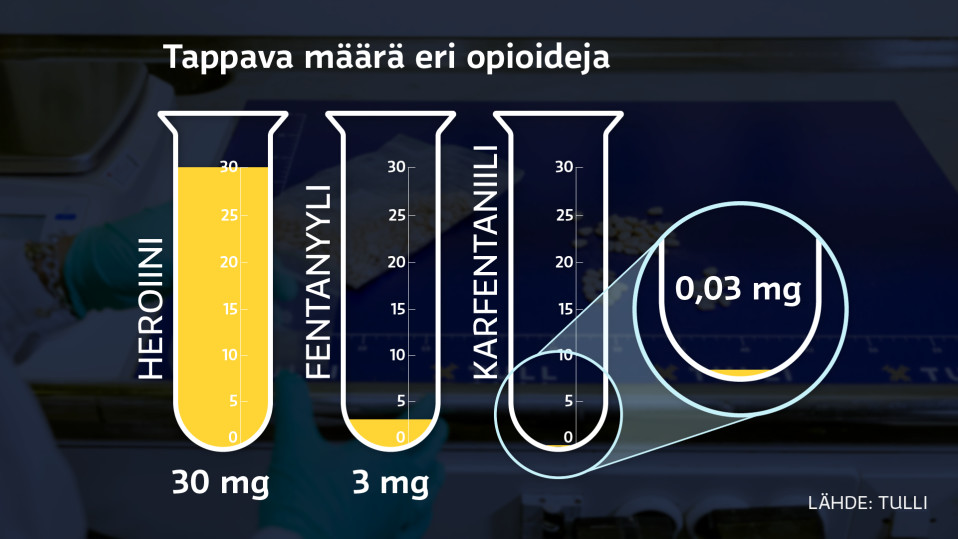 Grafiikka näyttää aikuisen tappavan määrän eri opioideja. 