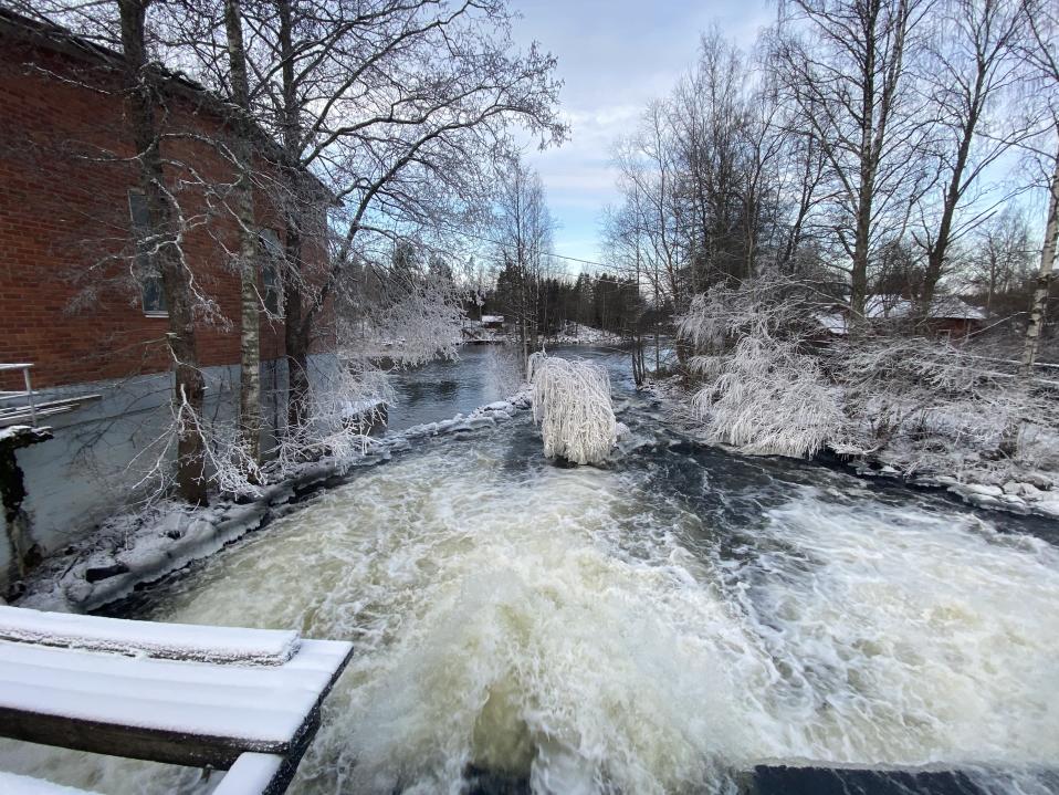 Kosken vesi kuohuu valkoisena, rannalla on huurteisia puita. 