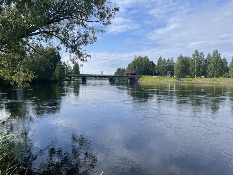 Pielisjoki virtaa Joensuussa useiden siltojen ali. Kuvassa näkyy Länsisilta ja kaupunginkoskia. 