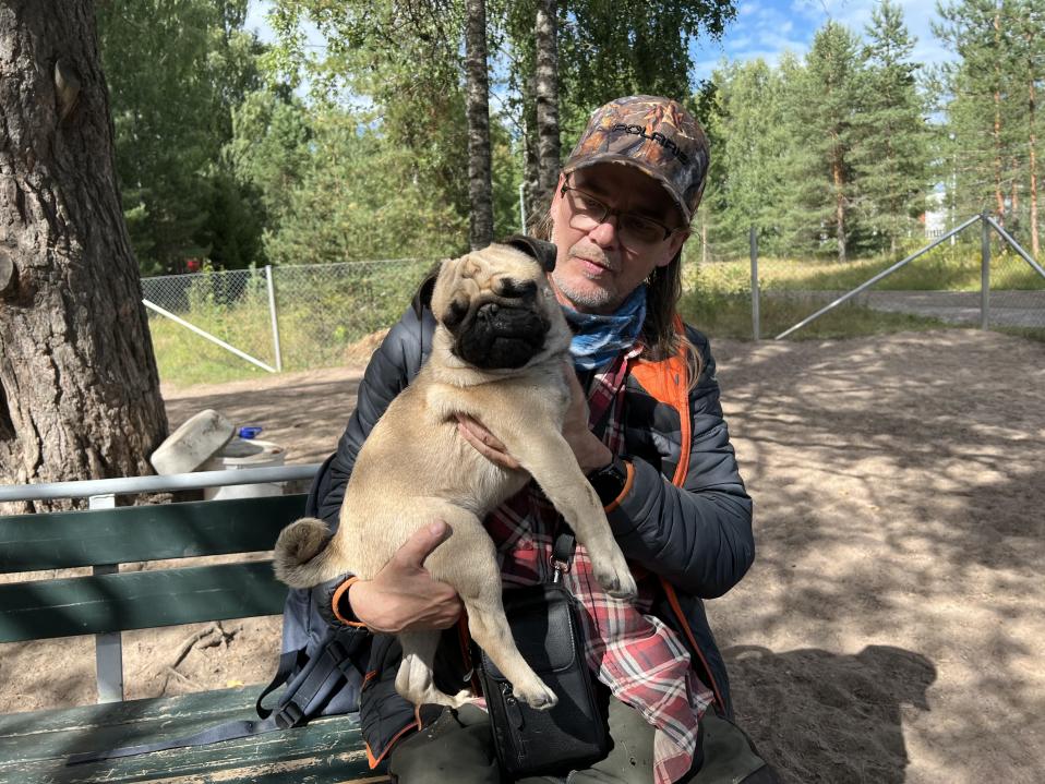 Mopsi nimeltä Jimi on kouvolalaisen Jukka Ritarin sylissä.