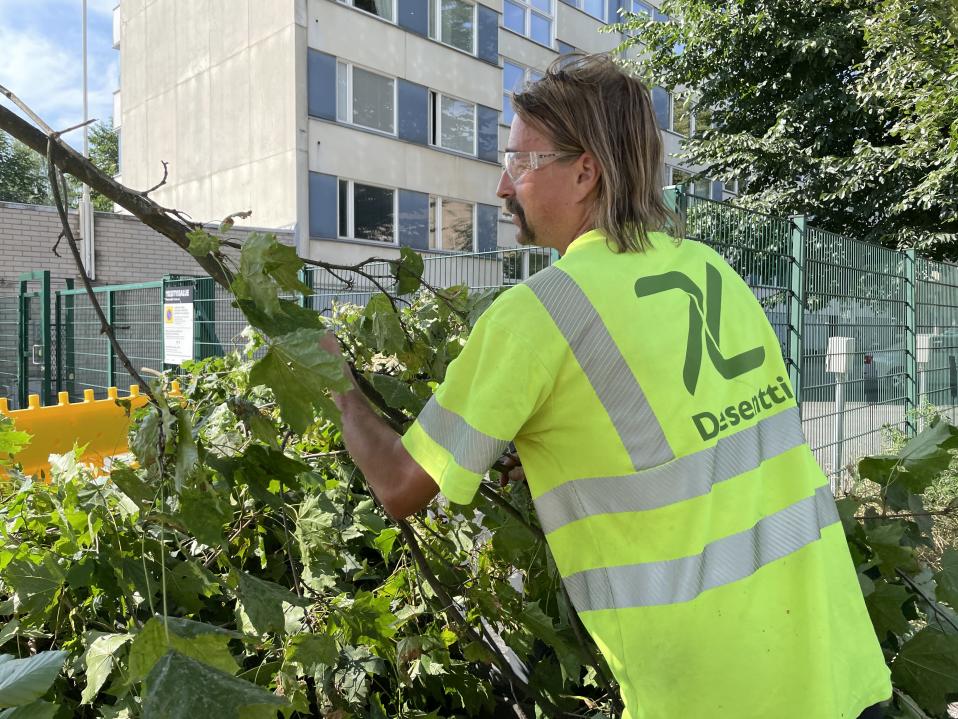 Ulkotyöntekijä kasaa leikkaamiaan puiden oksia