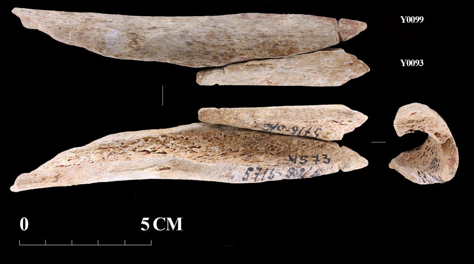 Tutkimus vahvisti: Kivikauden riipuksia tehtiin ihmisluista