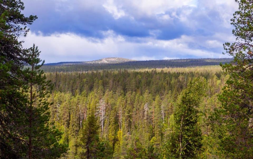Finnlands 41. Nationalpark öffnet sich nach Ostlappland