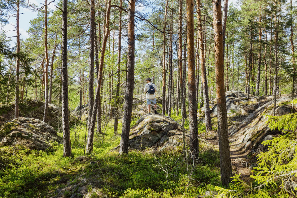 Retkeilijä seisoo pienen kallion päällä Nuuksion kansallispuistossa.