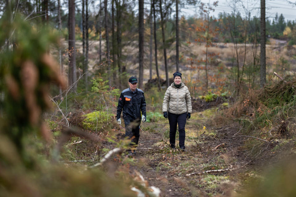 Kotkassa metsänomistajat kävelevät metsässä