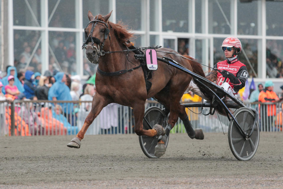 Evartti  ja ohjastaja Santtu Raitala kuvassa.