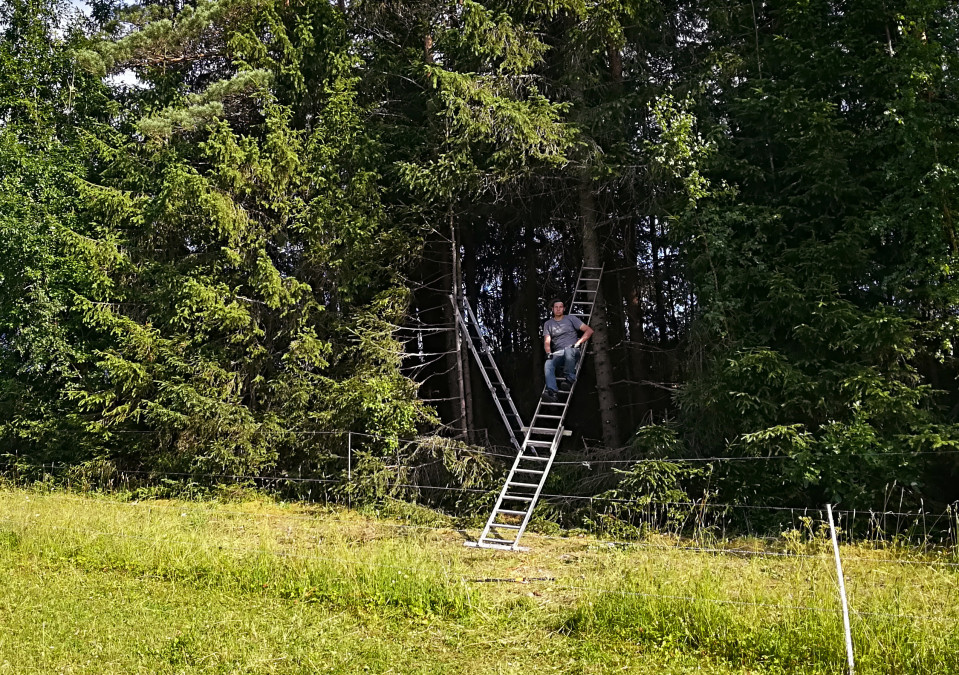 Antti Laitinen