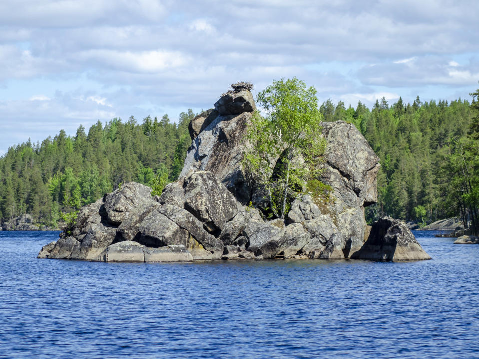 Kalliosaari, jonka huipulla on kalasääsken pesä.