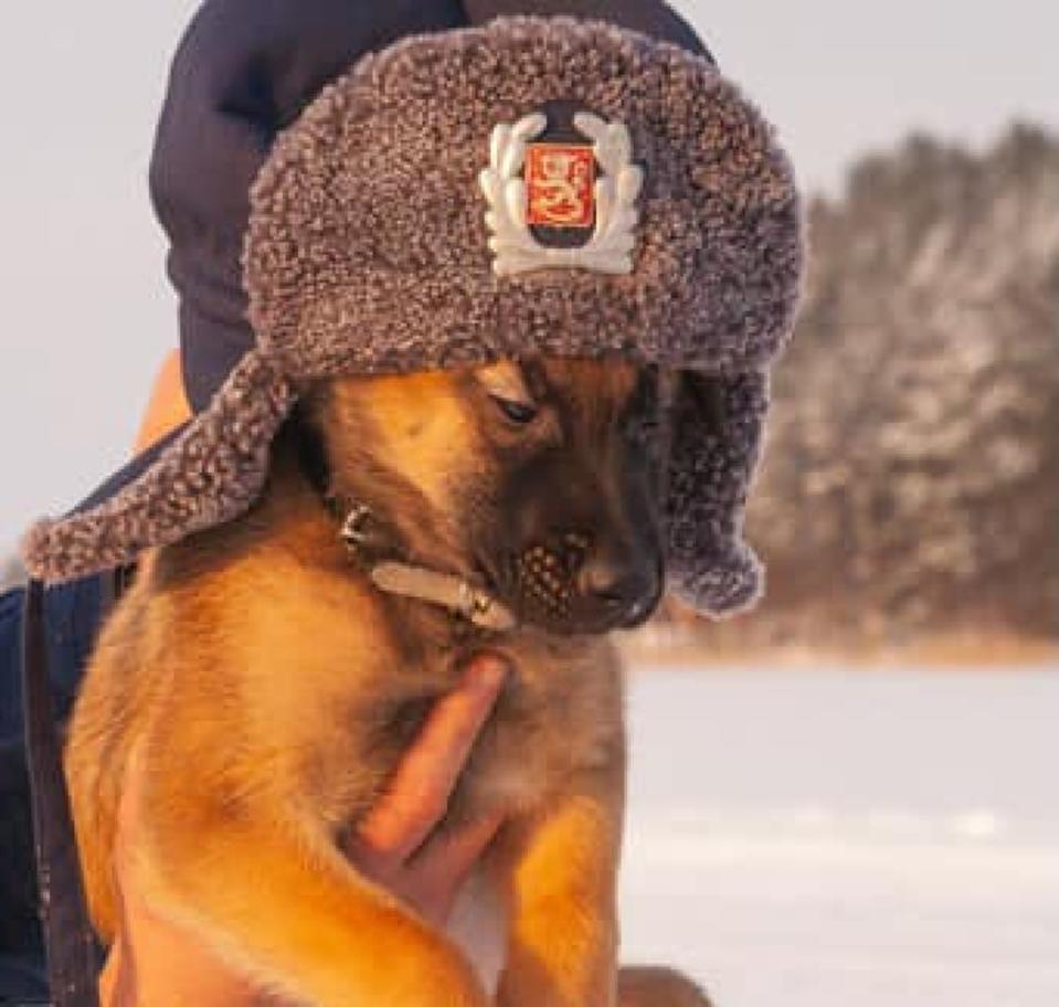 The life-saving police dog will retire after 10 years of service