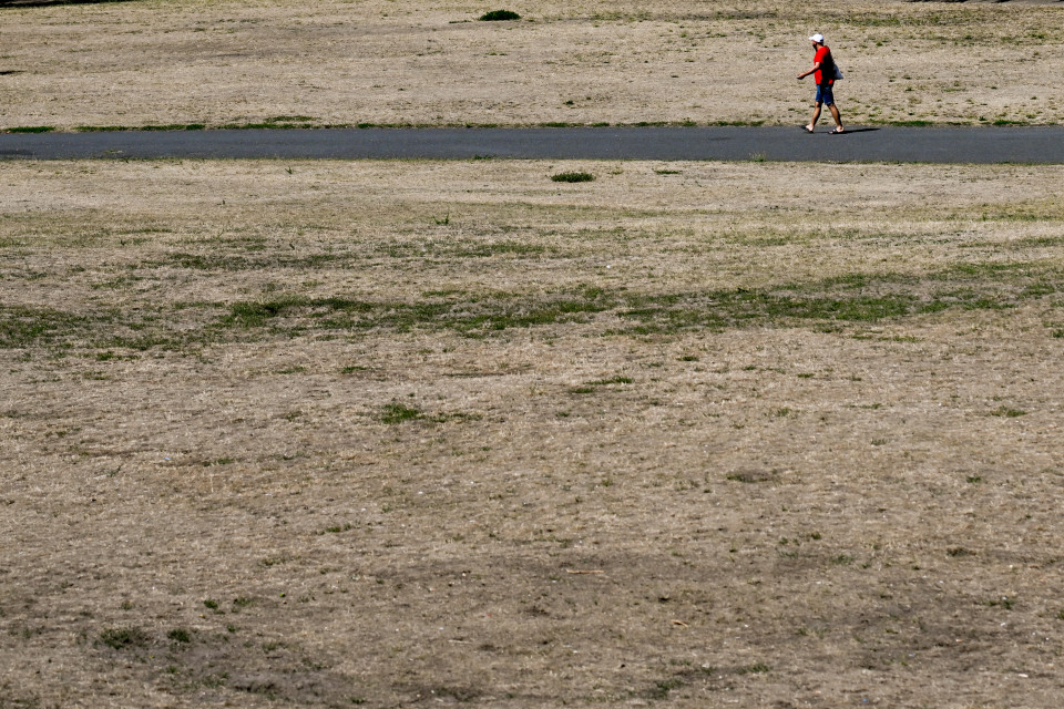 Mies kävelee kuvan yläreunassa polulla, nurmikko kaikkialla ympärillä on vaaleaksi kauhtunutta.