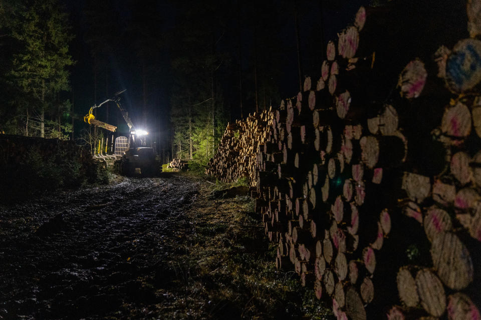 yleiskuva - kuormatraktori niputtaa tukkeja kasoihin öisessä metsässä.