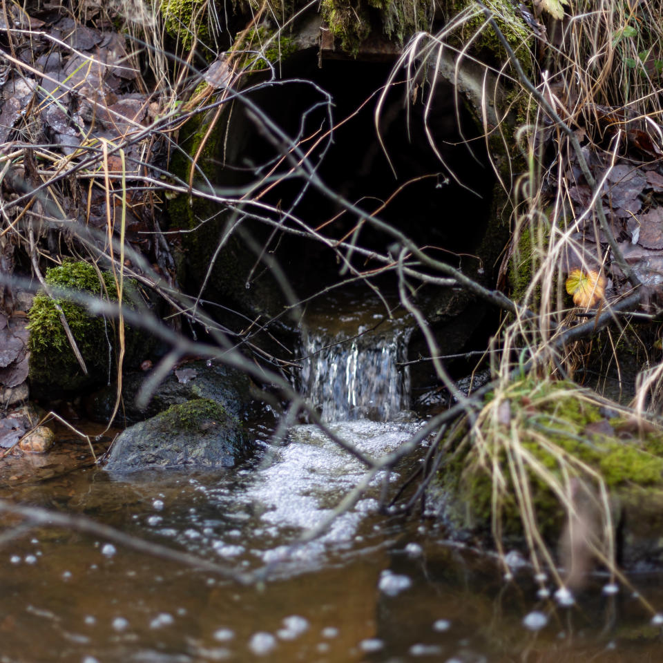 Pelloilta ja turvepohjaisesta metsästä tulevaa vettä solisee putkesta ojaan.