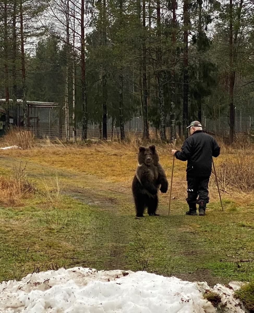 Aina karhu ja Sulo Karjalainen syksyllä 2021
